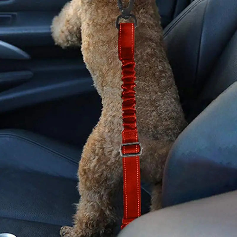 Adjustable Dog Safety Belt Leash - Nylon Car Restraint for Small & Large Dogs