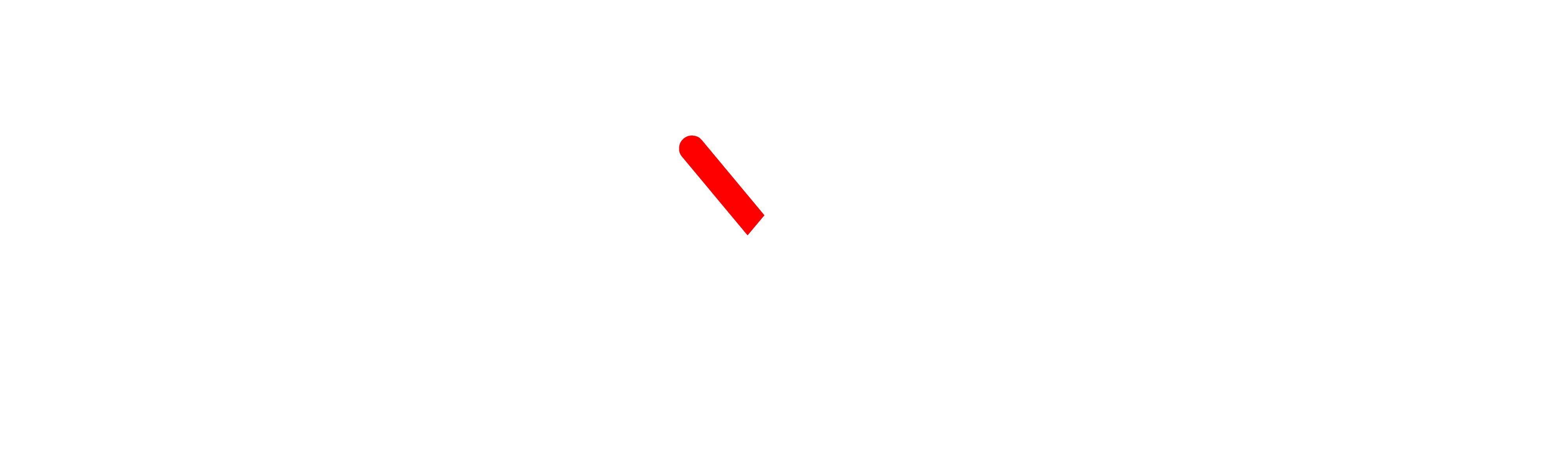 Flexsac logo