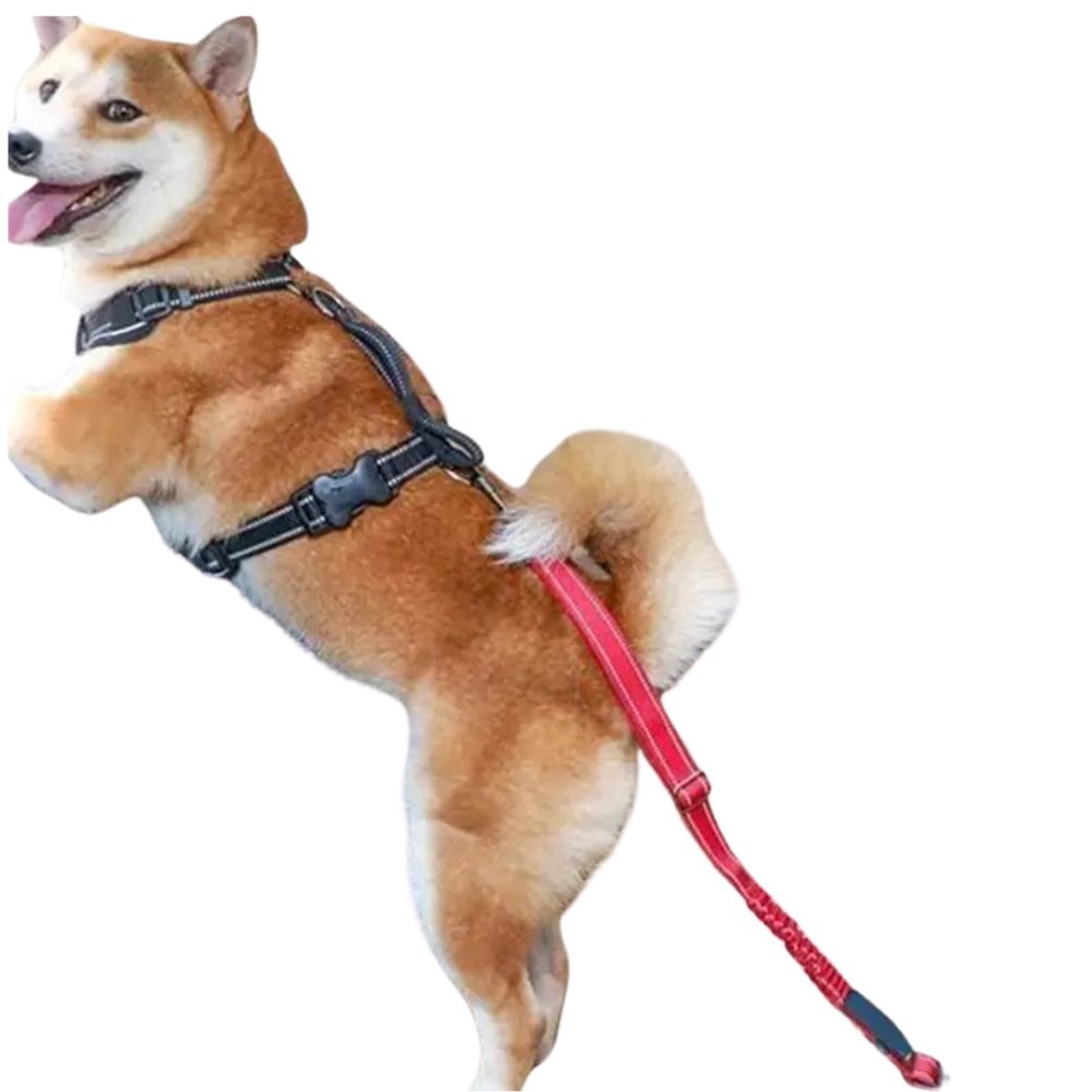 Adjustable Dog Safety Belt Leash - Nylon Car Restraint for Small & Large Dogs