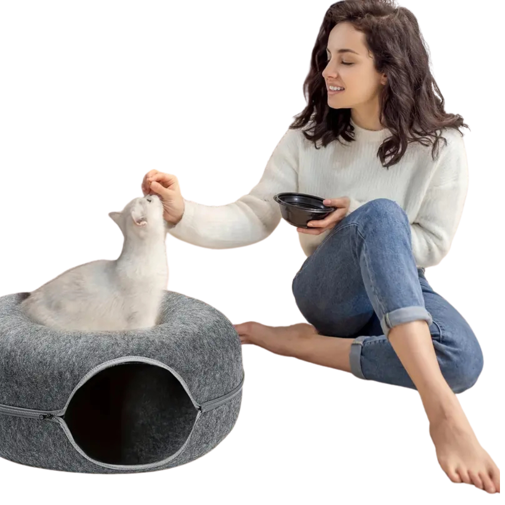 Donut Cat Bed & Interactive Tunnel - Pet Felt House and Kitten Training Toy