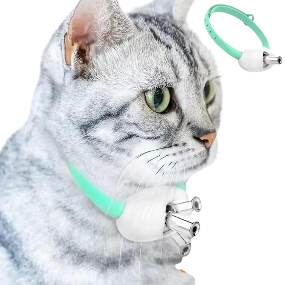 Automatic LED Cat Laser Collar Toy