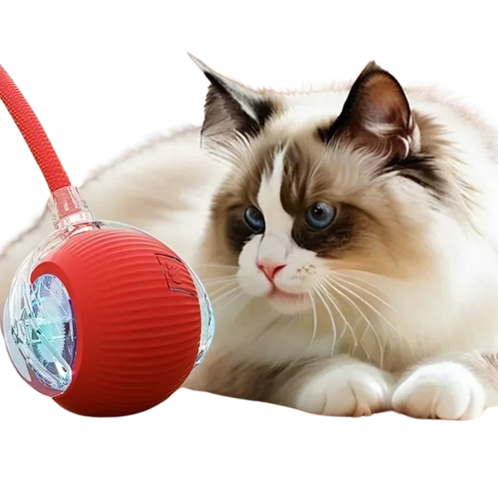 Interactive Smart Pet Ball – Automatic Motion Toy