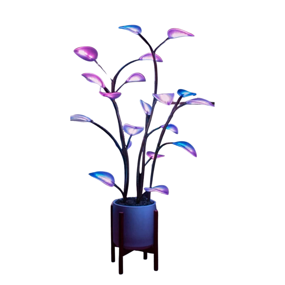 LED Houseplant Lamp – Changeable Color Indoor Decor Light for Home and Office