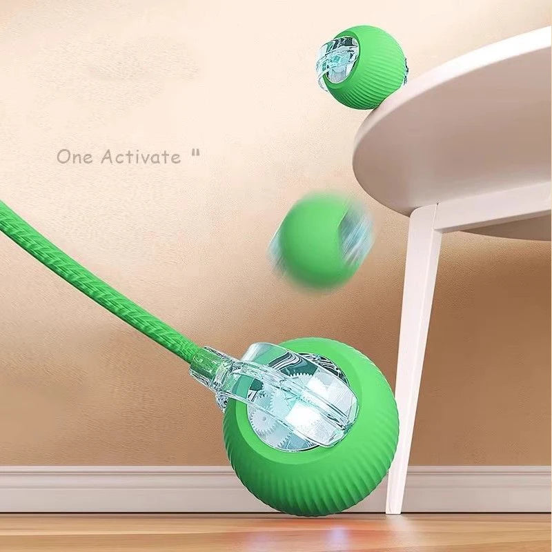 Interactive Smart Pet Ball – Automatic Motion Toy