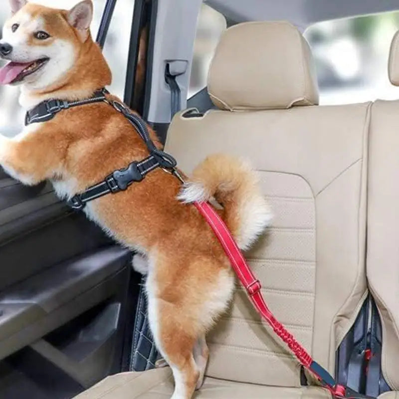 Adjustable Dog Safety Belt Leash - Nylon Car Restraint for Small & Large Dogs