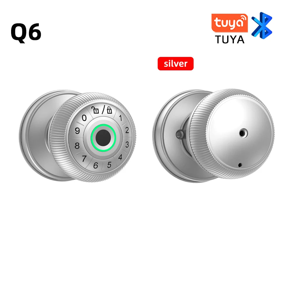 Smart Fingerprint Door Lock with Tuya App Control