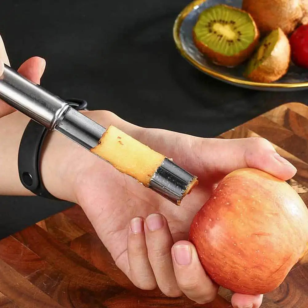 20cm Stainless Steel Fruit Corer & Seed Remover