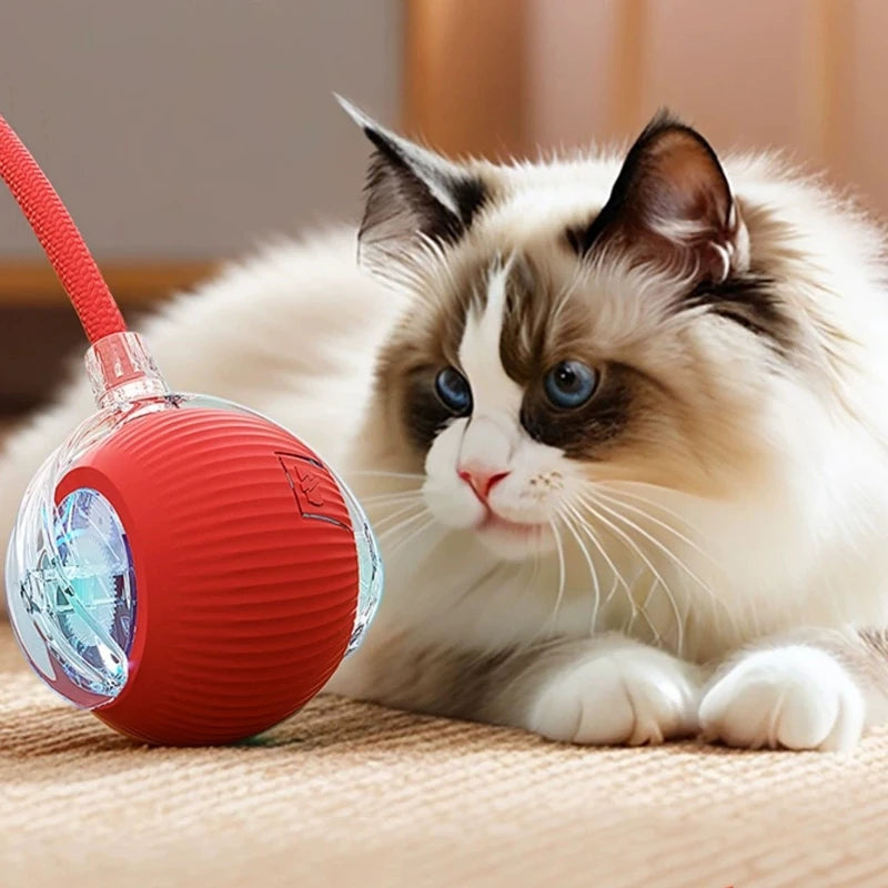 Interactive Smart Pet Ball – Automatic Motion Toy