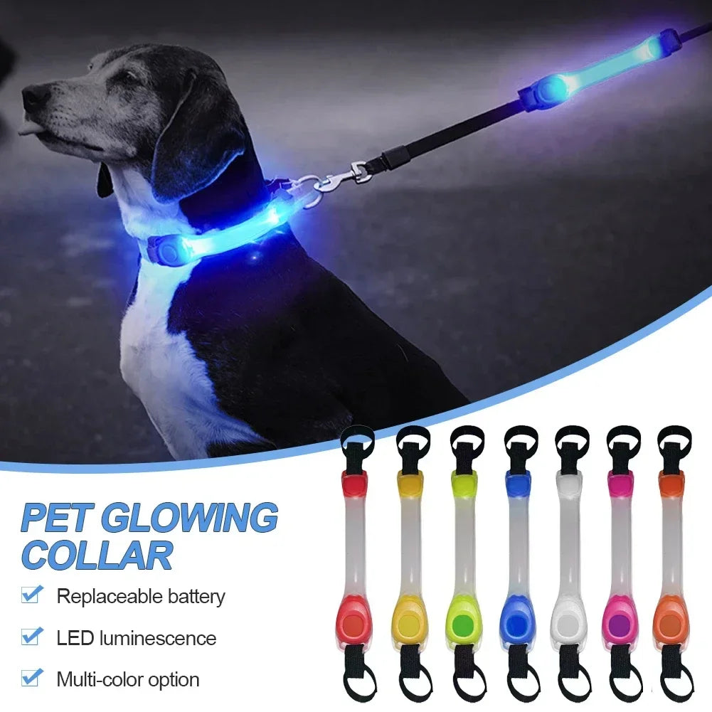 LED Glowing Pet Dog Collar - Night Safety Flashing Luminous Band