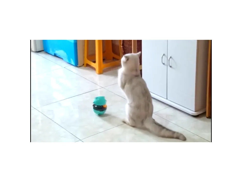 Interactive Cat Tumbler Toy