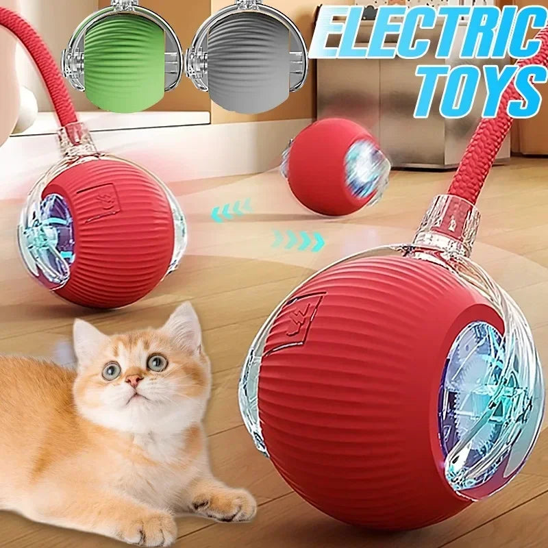 Interactive Smart Pet Ball – Automatic Motion Toy