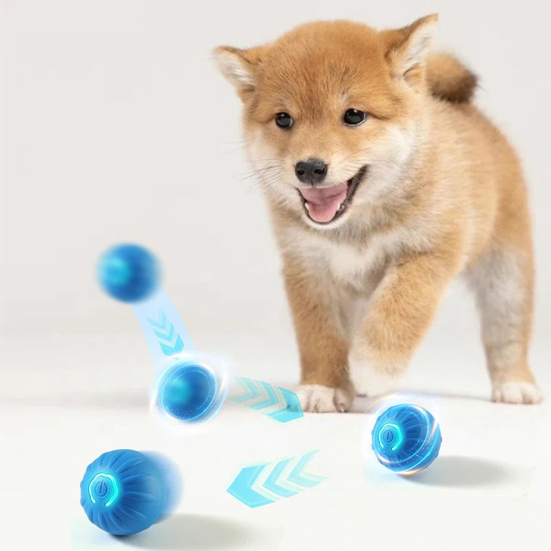 Interactive Smart Pet Ball – Automatic Motion Toy