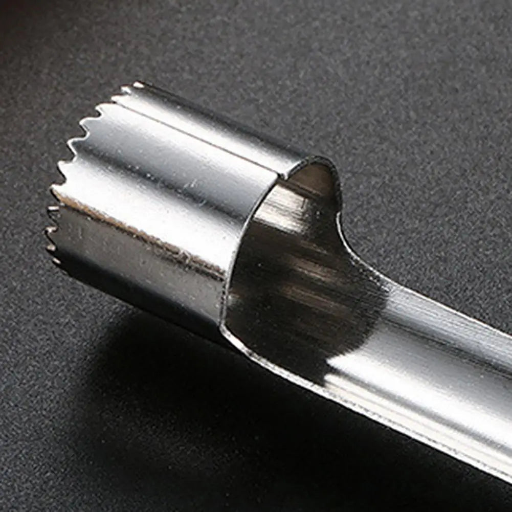 20cm Stainless Steel Fruit Corer & Seed Remover