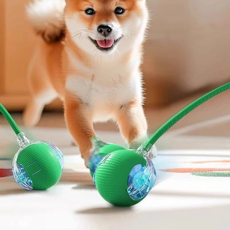 Interactive Smart Pet Ball – Automatic Motion Toy