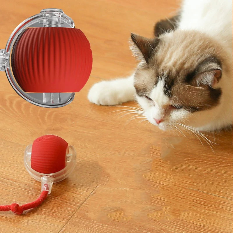 Interactive Smart Pet Ball – Automatic Motion Toy