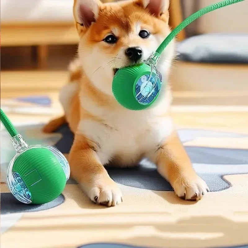 Interactive Smart Pet Ball – Automatic Motion Toy