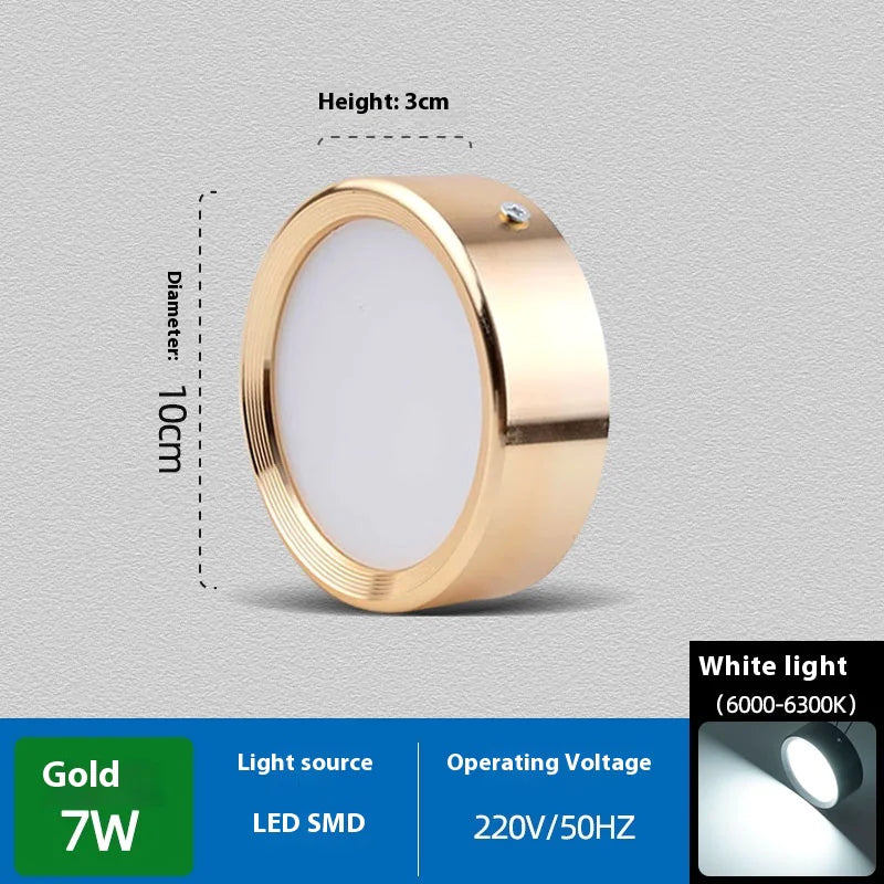 Non-Perforated Ceiling Light