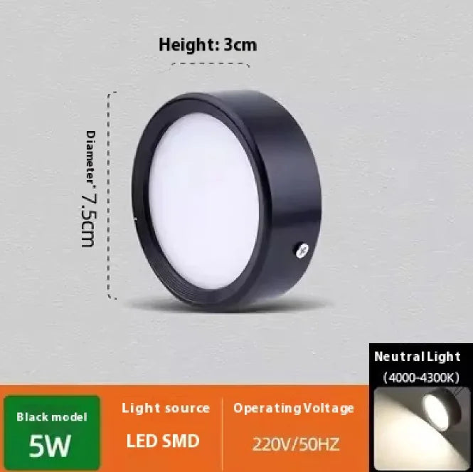 Non-Perforated Ceiling Light